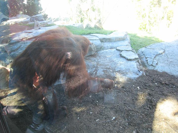 San Diego Trip 2 061.JPG